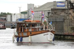 MB159 Bellianer