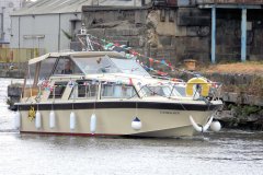 MB161 Consort