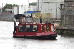 MB197 Tadpole