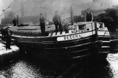 BEECH at Thornhill Double Locks.