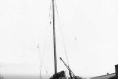 An immaculately maintained keel.