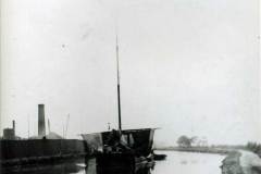 Sharp with its sail being lowered.