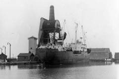 The steam collier Hamen in Goole Docks.
