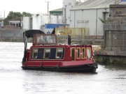MB197 Tadpole
