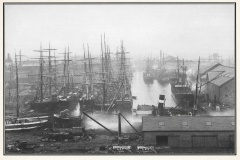 GDMA009 Aldam Dock, Goole circa 1896