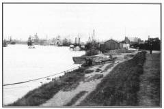 GDMA182 Shuffleton area near Goole in 1907