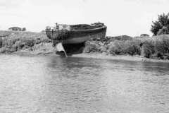 Kitty on the bank of the River Ouse.