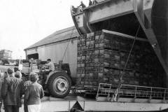 Discharging Carlsberg lager from MV Sussex.