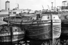 Three Acaster of Goole owned barges.