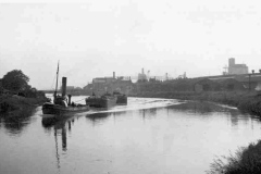 A steam tug towing two unladen barges on the River Don.