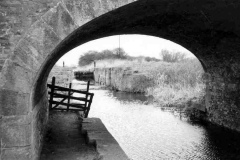 A canal lock, with a lock gate in almost totally derelict condition.