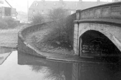 A turnover, snake or roving bridge.