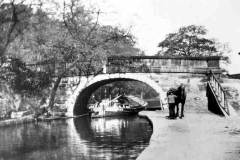 A draft horse at Redcote Bridge, Armley.