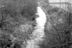 Walton Pound on the Barnsley Canal.