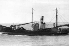 The steam drifter Craiglea [LH 270].