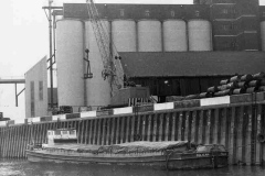 Pelican moored alongside a warehouse.