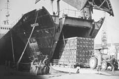 Discharging Carlsberg lager from MV Sussex.
