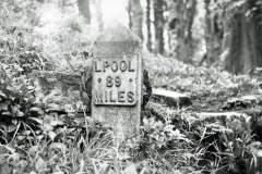 A milestone on the Leeds and Liverpool Canal.