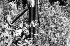 A metal pillar protecting a canal structure.