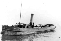 The steam tug IONA.