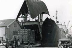 Discharging Carlsberg lager from MV Sussex.