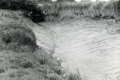 Laxton Clough on the River Ouse.