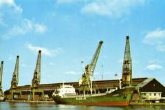 MV Thurso in West Dock, Goole.