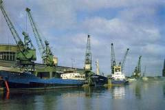 A postcard view of West Dock, Goole.