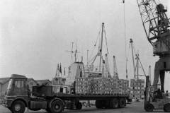 Frysen Two discharging palletised frozen beans.