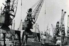 Discharging cargoes in West Dock, Goole.