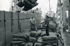 Discharging tanning nuts in Goole Docks.