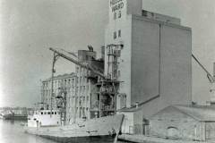 Discharging grain in South Dock, Goole.