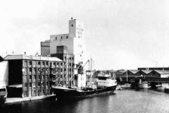 Discharging grain in South Dock, Goole.