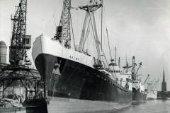 Selby in Stanhope Dock.