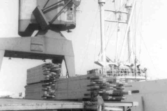 Discharging timber in Goole Docks.