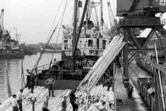 Discharging timber in Goole Docks.