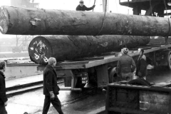 Discharging tree trunks in Goole Docks.