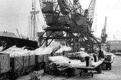 The SS Henry Vang is discharging sawn timber in Goole Docks.