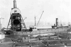 Steam collier SANFRY in Goole Docks.
