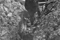 The 1958 Ouse Dock development.