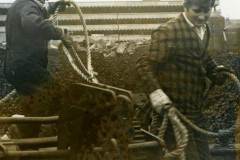 George [Patto] Pattison and Harry Sherburn.