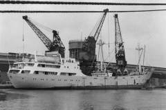 The MV A E S in Goole Docks, having sailed from the Falkland Islands.