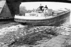 Thames on the River Calder.