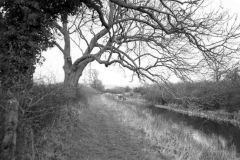 A long stretch of canal leading to a lock.