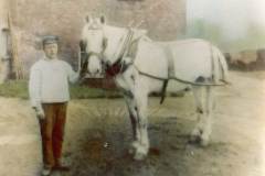 A horse-marine with his draft horse.