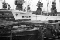 MV Unden in Hull Docks in 1959.