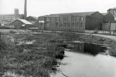 An overgrown canal basin.