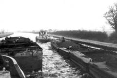 A train of laden compartment boats.