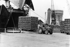 Discharging Carlsberg lager from MV Sussex.
