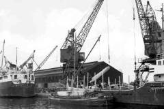Discharging timber by a fore derrick.